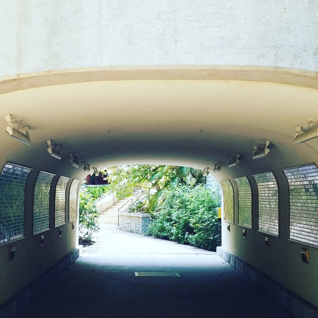 Tunnel in Piedmont park