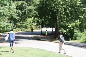 Path at Piedmont Prk